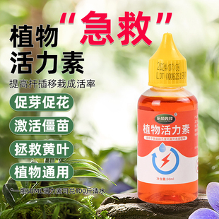 植物活力素生长花卉绿植通用养花多肉盆栽发财树绿萝爆芽营养液