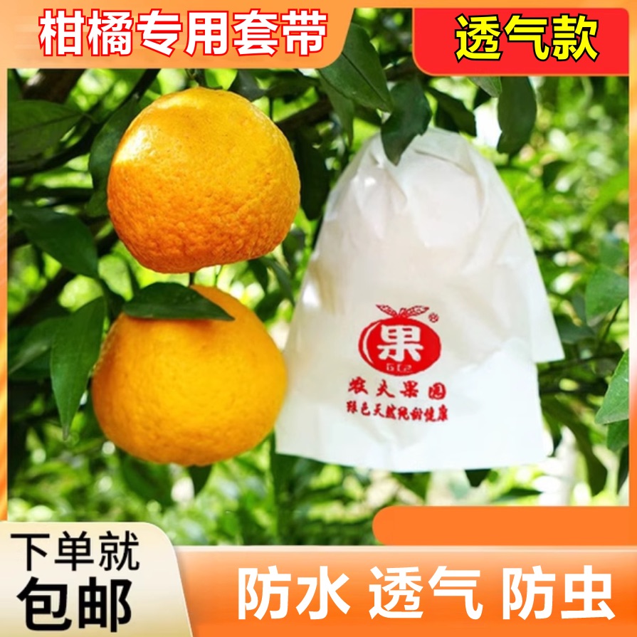 柑橘枇杷套袋不知火春见丑橘耙耙柑大脐橙石榴红美人丑柑芒果纸袋