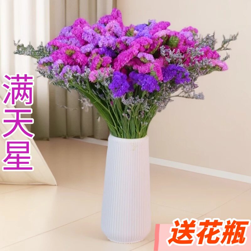 【送花瓶】云南直发勿忘我干燥花束鲜花真花装饰摆饰满天星大束插图片