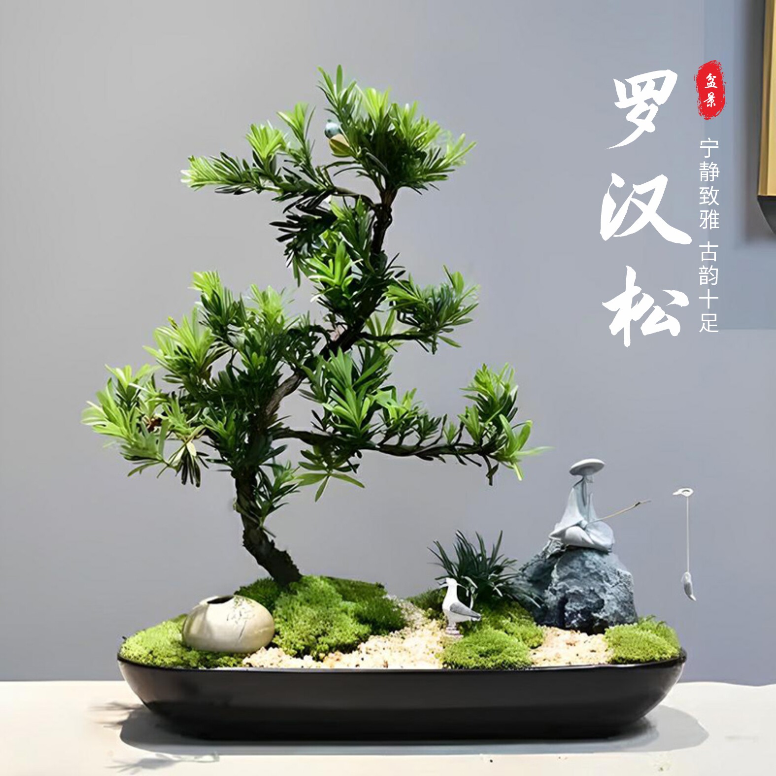 造型络黑罗汉松盆景室内植物庭院老桩办公室客厅摆件观赏大盆栽