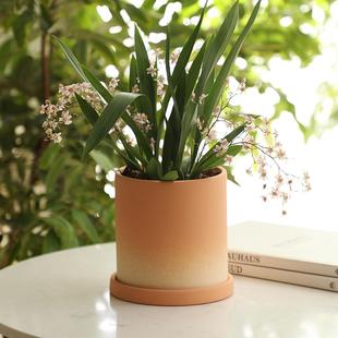 简约渐变摩卡色素烧陶瓷陶土盆大口径透气吸水蝴蝶兰月季 绿植花盆