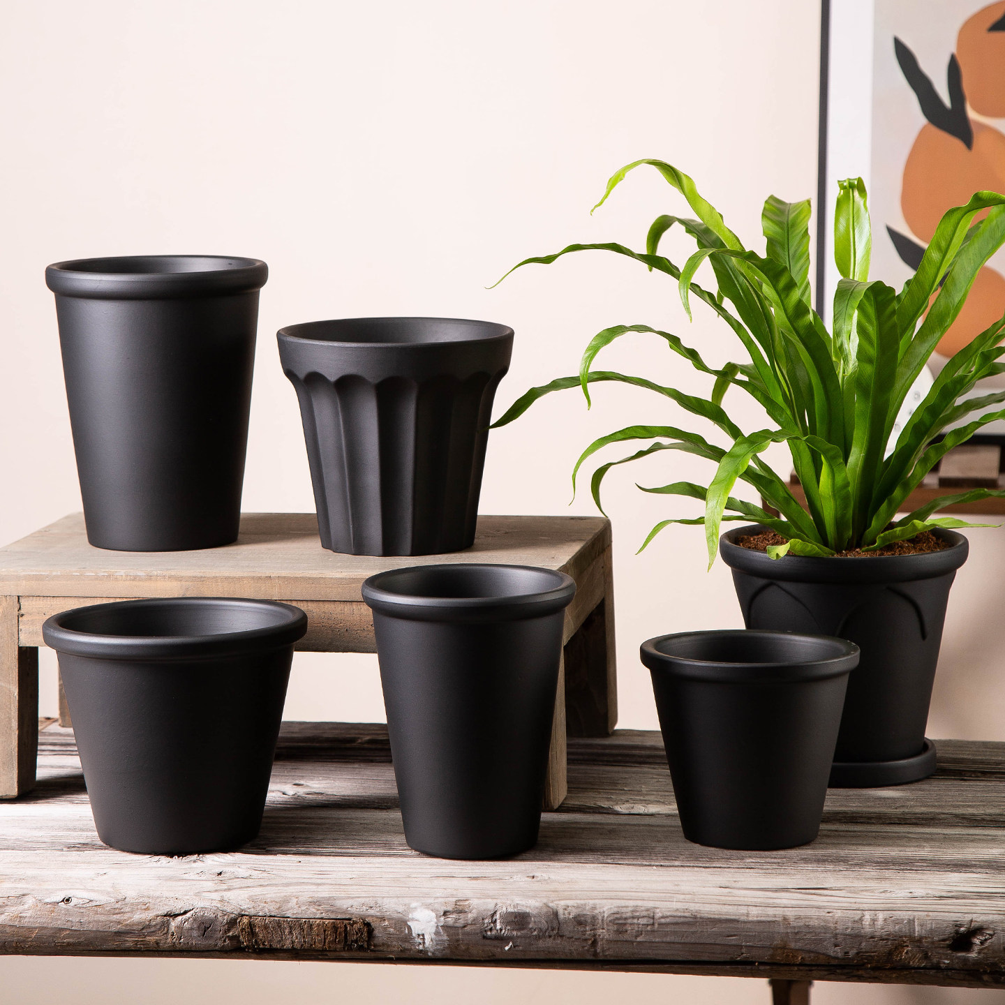哑光黑色陶土盆家用阳台客厅庭院高瘦兰花盆透气红陶花盆带托盘,鲜花速递/花卉仿真/绿植园艺,花盆,淘宝优惠券,粉丝福利购,淘宝优惠卷