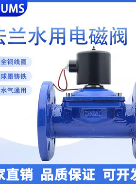 0压启动直动式电磁开关阀24V220V 2W球墨铸铁法兰水用电磁阀DN100