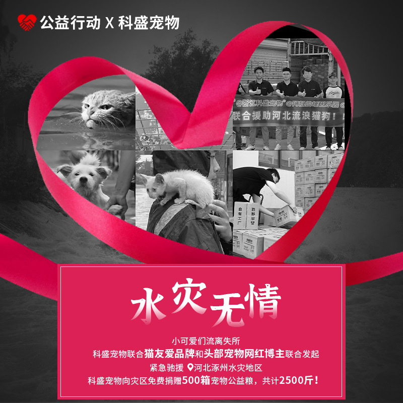 爱心猫粮批发公益流浪猫救助全价