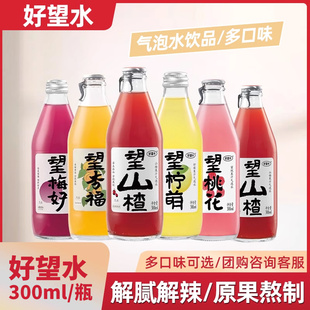 好望水望山楂楊梅果汁飲料氣泡水汽水梅好檸萌杏福碳酸300ml整箱