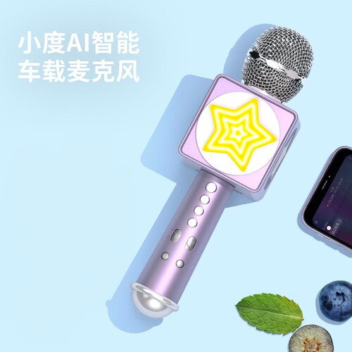 WooHoo话筒音响一体麦克风无线家用智能语音手机蓝牙直播车载k歌 - 封面