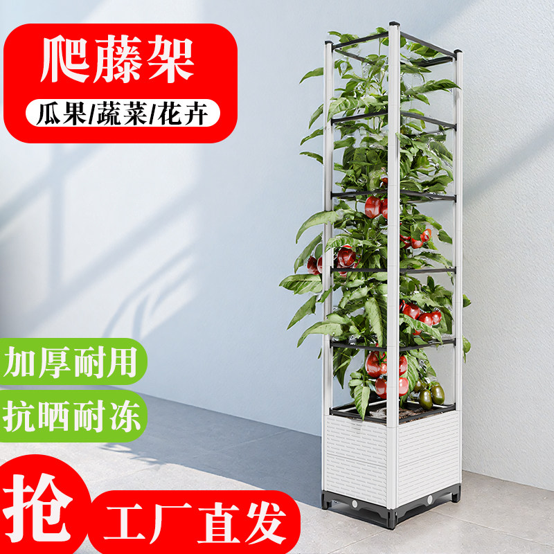 蔬菜种植花架箱西红柿爬藤架户外庭院园艺种植花架植物固定架花箱