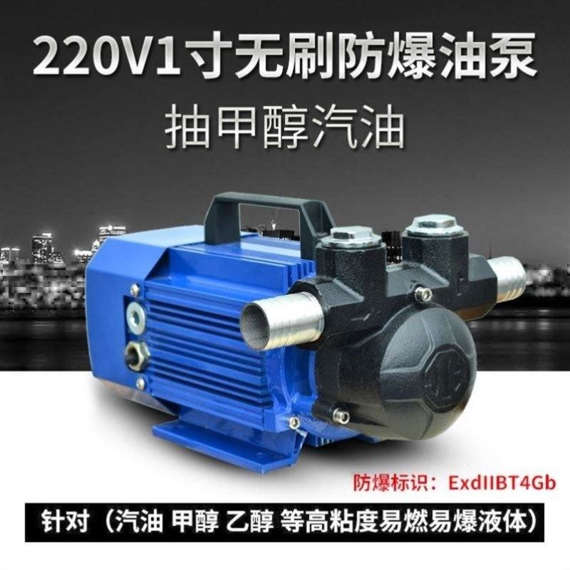 DYB-80/DYB-150海湾抽汽油柴D油防爆汽油抽油泵带计量计价直流电,五金/工具,水泵,淘宝优惠券,粉丝福利购,淘宝优惠卷