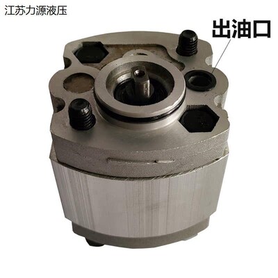 CBT-F202.1/202.6/F2r01.6/203.2/F203.7/204.2/205.8齿轮油泵CBD