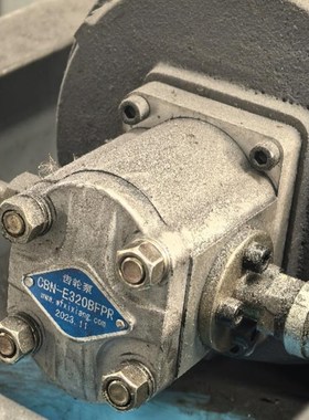 液压油泵总成CBN-E320BFPR  CBN-E304 CBSN-E310 齿轮泵