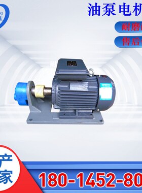 厂家直销LBZ-4 10  63 80 LBEZ-125液压齿轮润滑机油泵电机总成