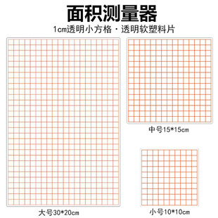 透明小方格 1cm小格子 总边长10cm 100格 面积测量器 小学数学教具学具 教学仪器 1厘米塑料正方形片计数片