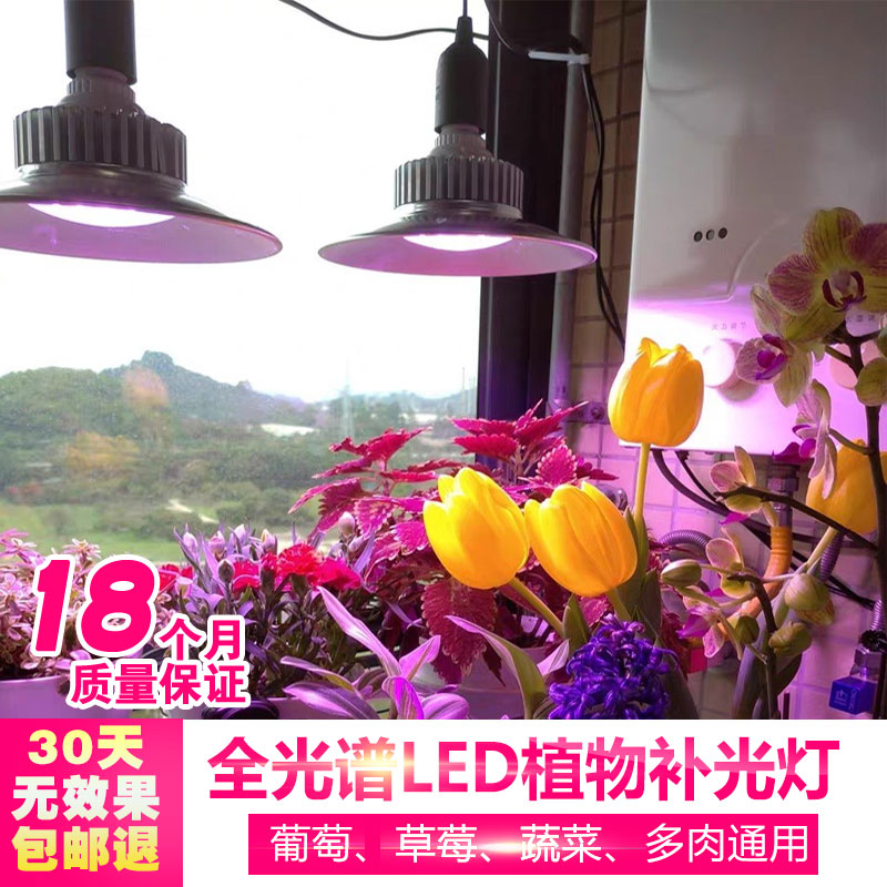 大功率室内阳台上色植物生长灯