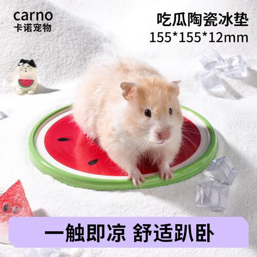 卡诺仓鼠躲避屋夏天降温神器陶瓷窝夏季冰屋金丝熊蜜袋鼯专用房子