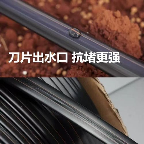 新型滴灌带贴条式16mm抗堵滴灌带灌溉农用大棚蔬菜滴管带水带厂家