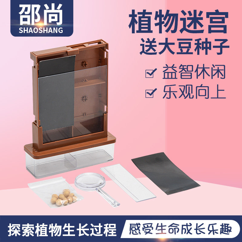 植物大战迷宫 幼儿园科学区材料 植物生长观察盒儿童益智科技制作