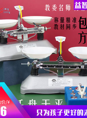 儿童天平称玩具小学生托盘天平