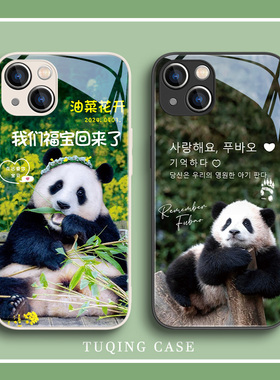 适用苹果14pro手机壳15promax福宝iphone13大熊猫11可爱12新款8plus卡通mini姜爷爷xrse卡通xsmax周边por玻璃