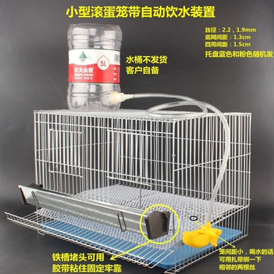 鹌鹑养殖专用笼芦丁鸡养殖笼小型家庭养殖鸽鹧鸪鹦鹉鸟类下蛋笼.