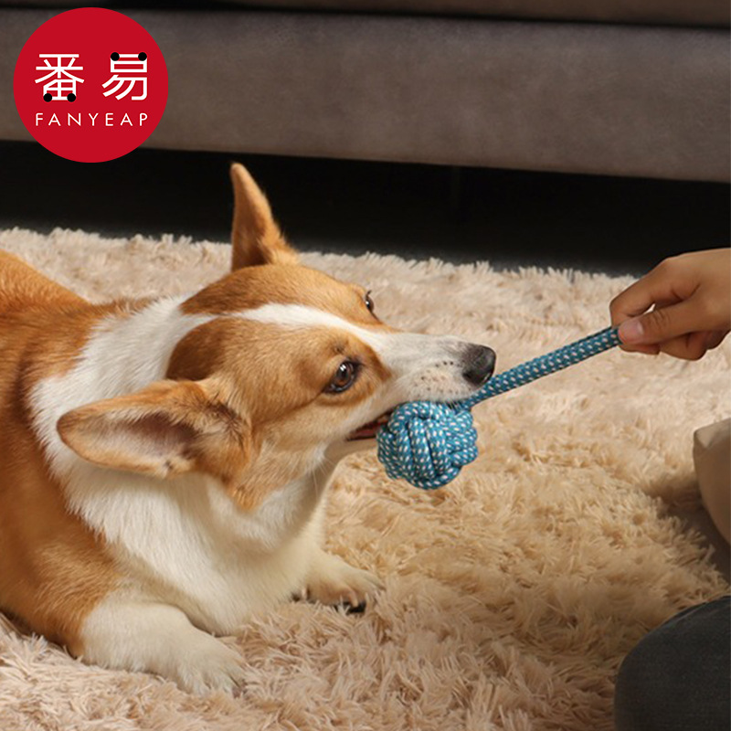 宠物玩具/绳结AC1S24-玩具绳驯犬狗狗玩具磨牙耐咬宠物中小型犬