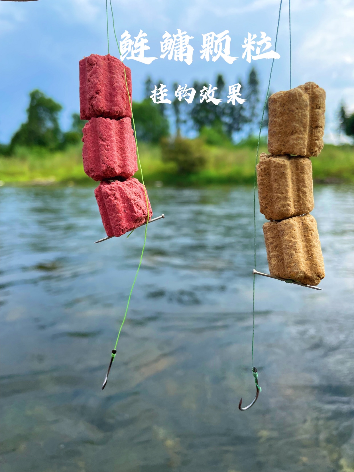 水一族手竿浮钓鲢鳙筏钓水库钓长