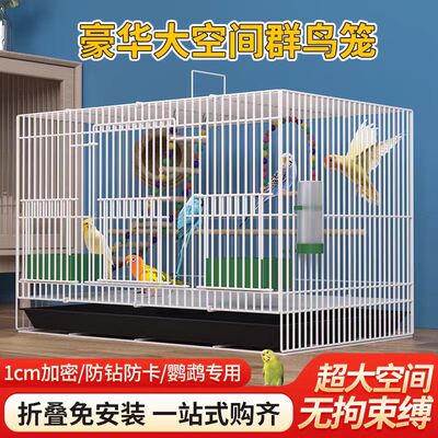 鸟笼子大号虎皮鸟笼玄凤八哥相思鸟笼繁殖笼金属鸟笼群鸟家用清仓