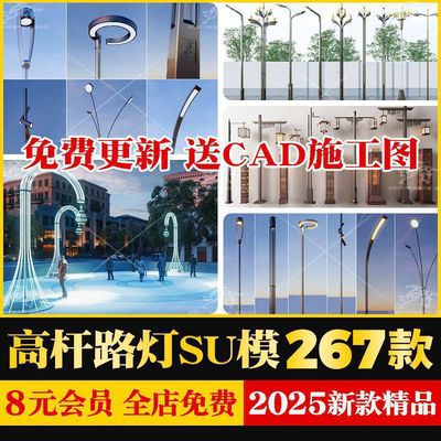 现代创意异形Sketchup公路道路高杆路灯玉兰灯灯柱灯具su模型cad