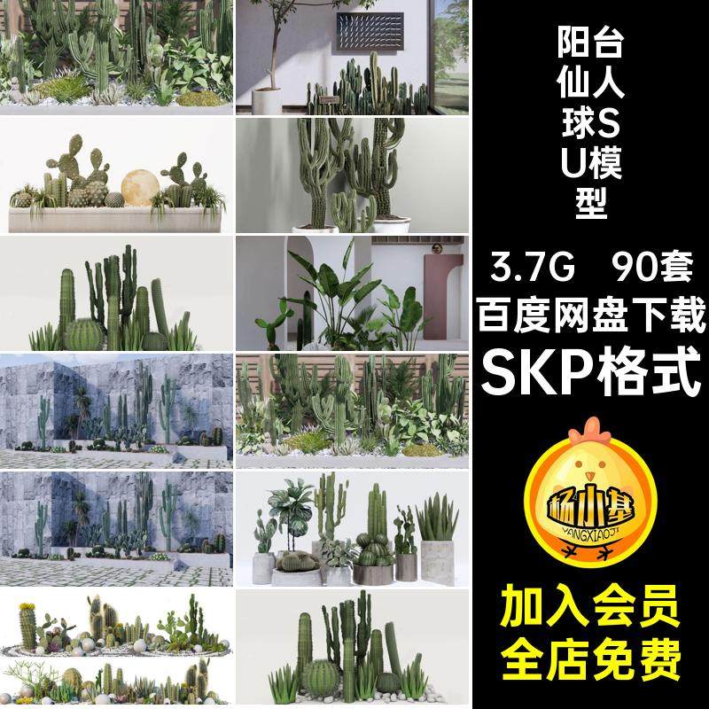 盆栽仙人球SU模型SKP格式庭院兰造景龙血树芦荟小品90套植物热带