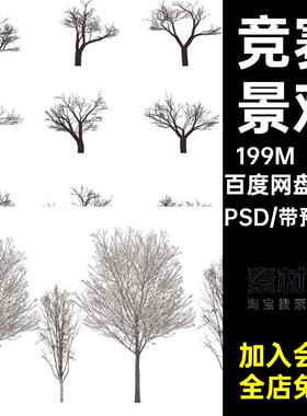 9款枯树分层竞赛线源文件风格PS调PSD精心归纳理稿专注枯树线稿