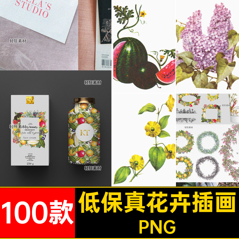 低保真花卉插画PNG账花草PNG植物手绘剪复古免扣100款拼贴贴画