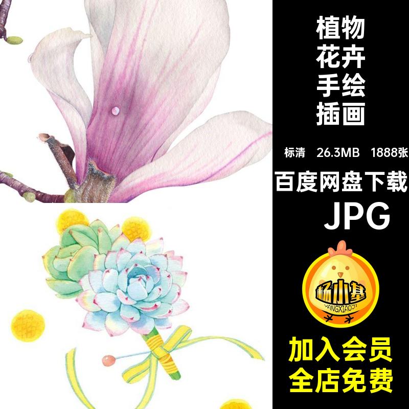 淡彩花卉手绘插画·JPG线多教程电子版肉1888张水彩铅植物稿临摹