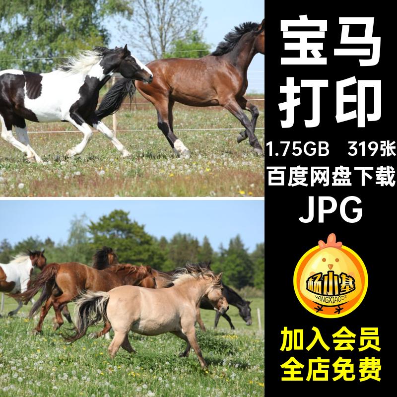 319张动物宝马设计合成奔跑JPG美工素材打印的生物骏马图片喷绘