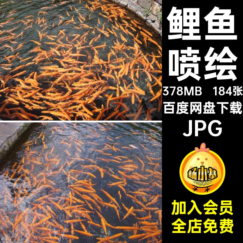 设计喷绘JPG素材鱼群金鱼摄影图片合成观赏鱼鲤鱼打印观赏鱼图片