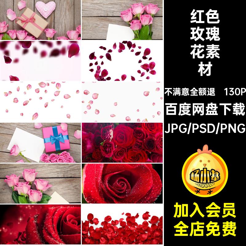 TP-33粉高清图片花瓣红色玫瑰七夕情人节背景海报JPG520设计素材