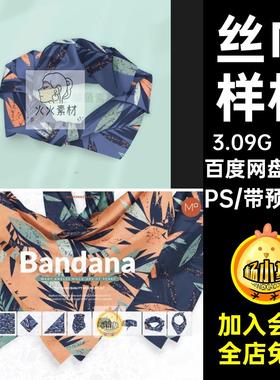 丝巾围巾样机PS素材mockup面料9款案多角度包装设计效果图贴图