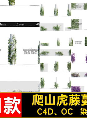 11款藤蔓花植物花草模型C4D OC渲染爬山虎素材室外藤曼观赏MX