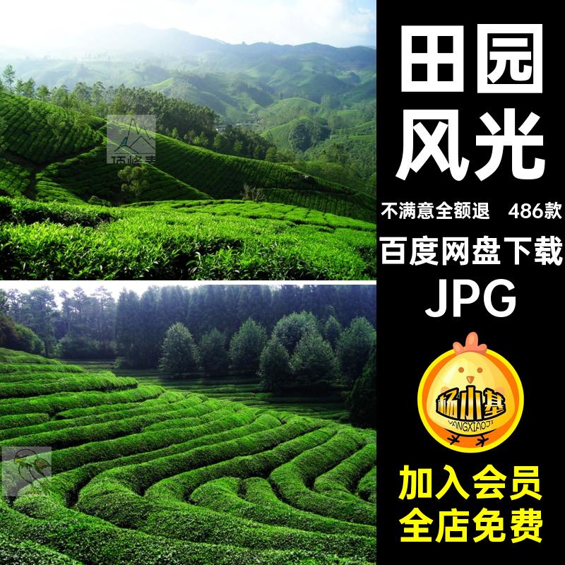 乡村大图JPG茶叶素材茶园绿茶茶山田园风光风景设计图片美丽486款