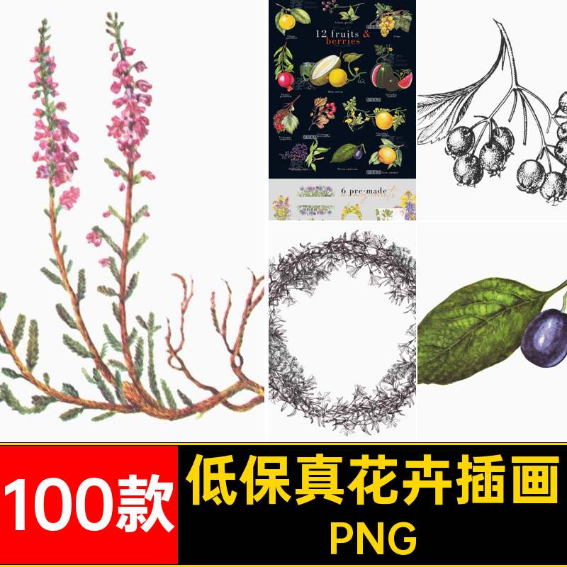 100款复古植物花卉插画贴画PNG账拼贴扣剪低保真手绘花草免PNG
