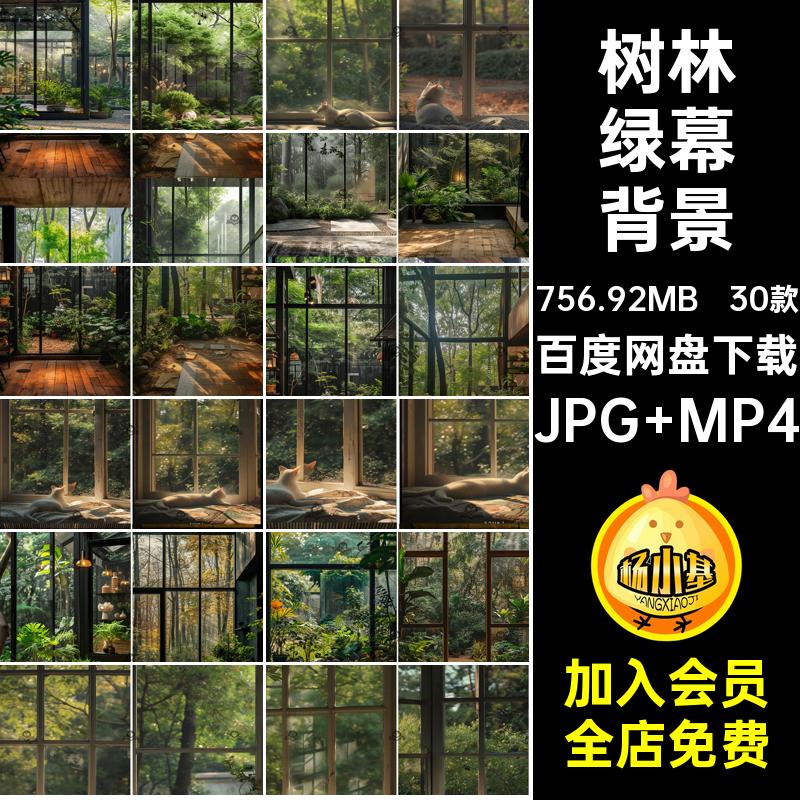 窗外动态视频背景树林植物绿植室内mp4竖屏设计jpg绿幕直播间素材