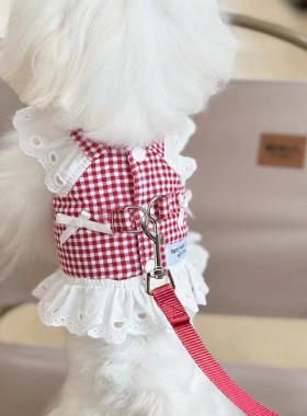 狗狗衣服牵引绳夏季宠物小狗比熊马尔济斯约克夏蕾丝飞袖公主裙子