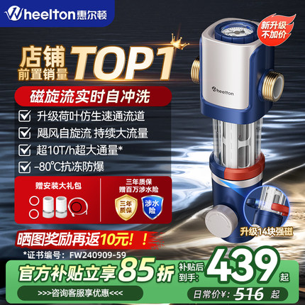 惠尔顿前置过滤器家用反冲洗全铜防爆超10T全屋自动清洗P0038MAX