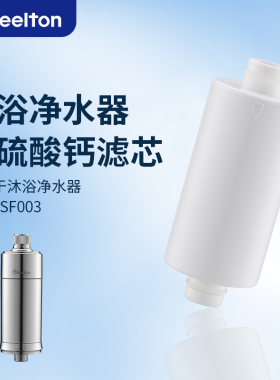 WHEELTON惠尔顿沐浴净水器滤芯中央滤水机活性炭亚硫酸钙台上净水