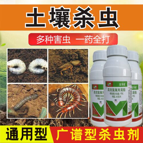 花土杀虫素材模板 花土杀虫图片下载 小麦优选