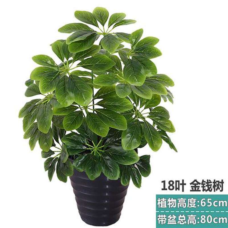苏墨 假树金钱树发财树仿真植物大型落地盆栽景假花塑料花客厅装属于什么档次？