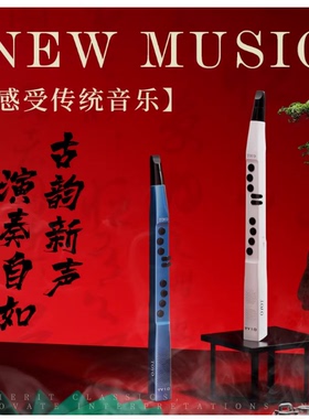 TOYO TY10 S66K 电吹管新款吹奏二胡笛子萨克斯葫芦丝大全乐器