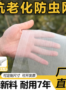 蔬菜大棚院子专用尼龙网防蚊纱网