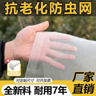 防虫网窗纱网纱防苍蝇蚊子大棚果树杨农用养殖场尼龙加厚加密院子