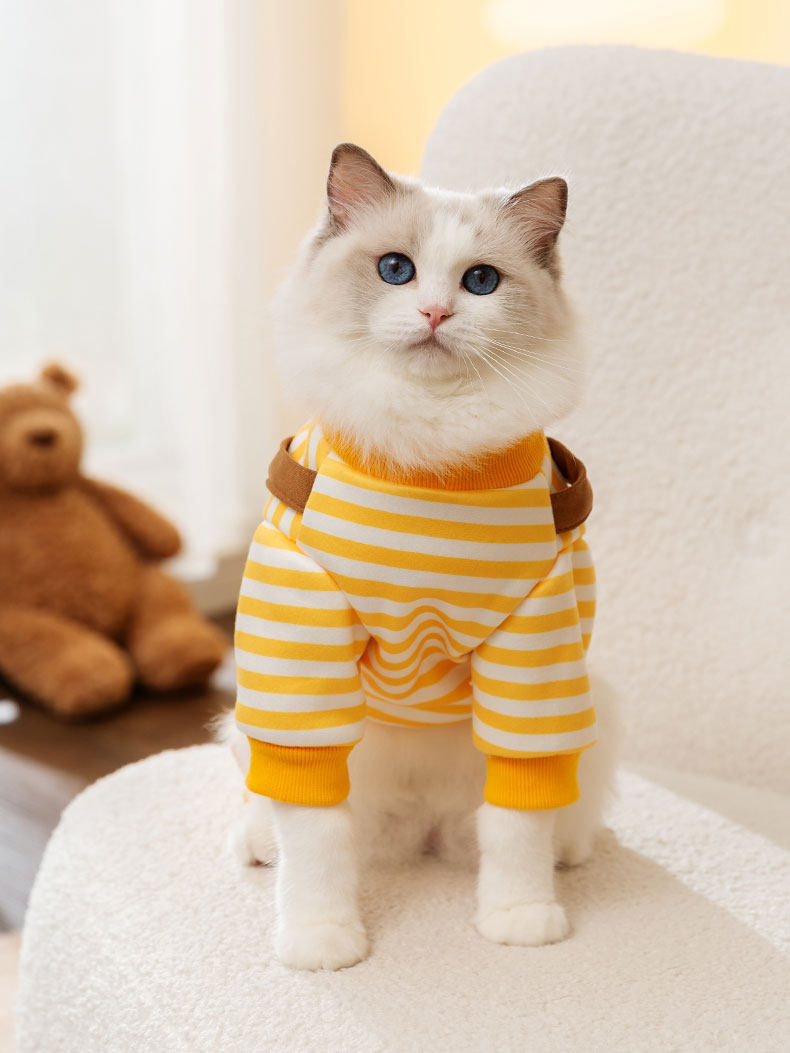 无毛猫衣服撸猫冬季保暖防掉毛秋季猫咪衣服公猫帅气公主风防掉毛