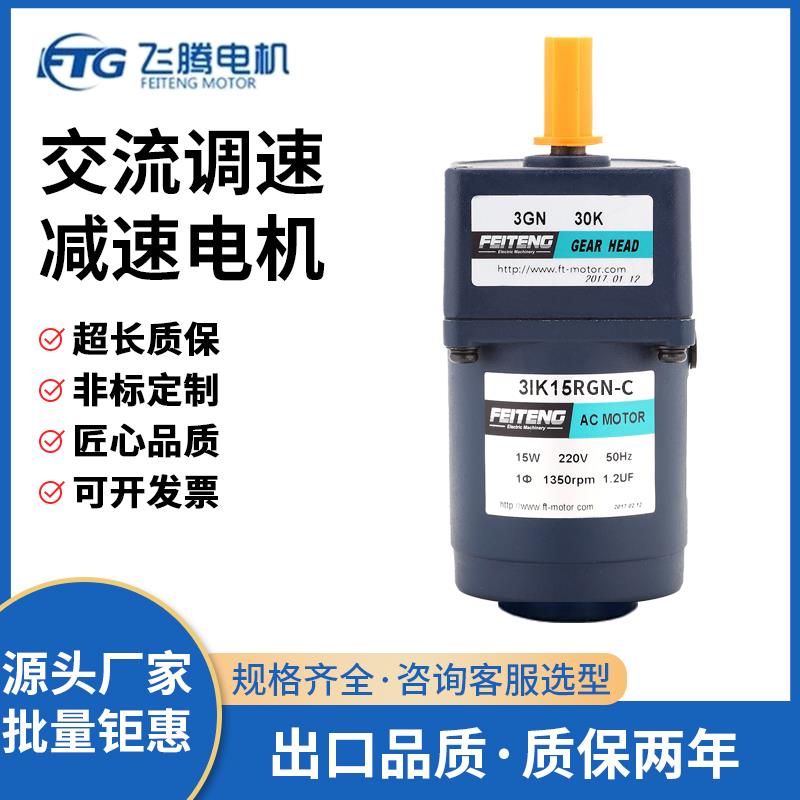FEITENG飞腾微型交流调速减速电机齿轮6W-300W减速感应定速马达