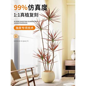 千年木模拟绿色植物客厅无障碍豪华装饰盆栽植物彷生龙血树室内地